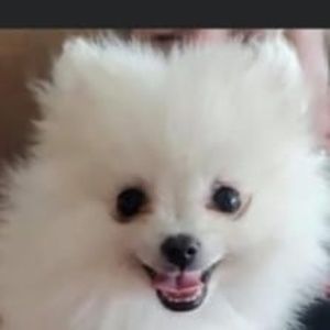 Meet your Posher, Lynn